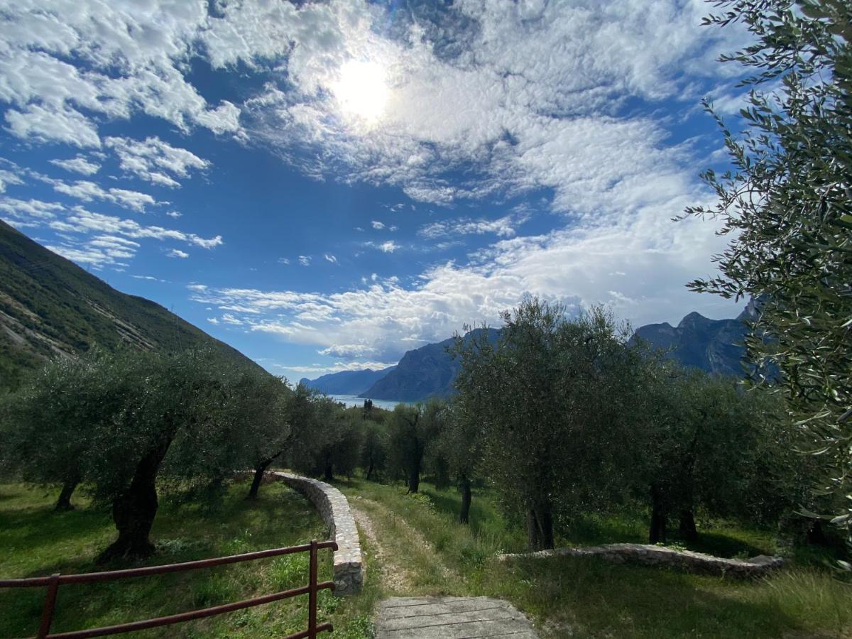Garda Baldo Apartments_Vivaldi Torbole Sul Garda Esterno foto